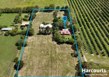 Farm For Sale - QLD - Sharon - 4670 - Acreage living minutes to town  Multiple large sheds with high clearance and hoist!  (Image 2)