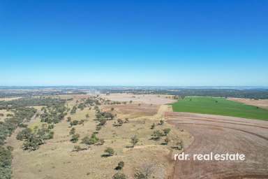 Farm For Sale - NSW - Inverell - 2360 - PINDAROI STATION  (Image 2)