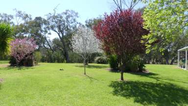 Farm Tender - NSW - Warren - 2824 - Gunningbar Lifestyle Property  (Image 2)