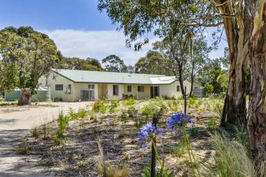 Farm For Sale - TAS - Dolphin Sands - 7190 - Splash in your pool and the nearby beach  (Image 2)