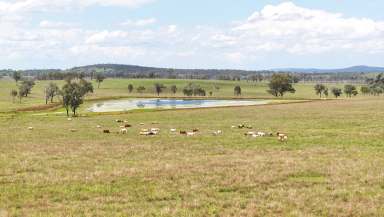 Farm Auction - QLD - Mundubbera - 4626 - Abundant Water & Established Pastures in the Heart of the North Burnett  (Image 2)