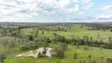 Farm Auction - QLD - Mundubbera - 4626 - Abundant Water & Established Pastures in the Heart of the North Burnett  (Image 2)