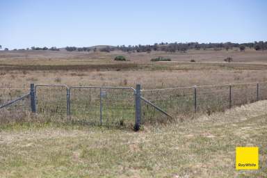 Farm For Sale - NSW - Boro - 2622 - Endless opportunities at 150 Boro Road  (Image 2)