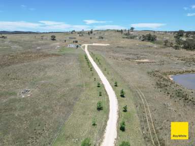 Farm For Sale - NSW - Boro - 2622 - Endless opportunities at 150 Boro Road  (Image 2)