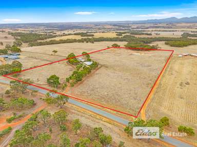 Farm For Sale - WA - Mount Barker - 6324 - Stirling Sunsets from Your Alfresco  (Image 2)