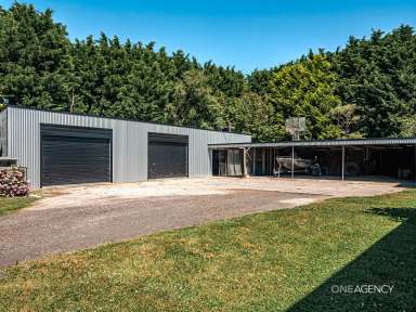 Farm For Sale - TAS - Smithton - 7330 - The Australian Dream! Renovated Home, Large Shed On Almost 20 Acres  (Image 2)