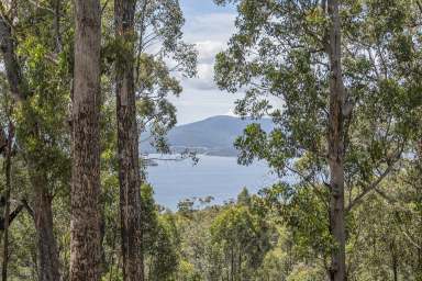 Farm For Sale - TAS - Brooks Bay - 7116 - Private Bushland Retreat with Water Views  (Image 2)