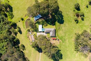 Farm For Sale - NSW - Kianga - 2546 - Kianga Farm  (Image 2)