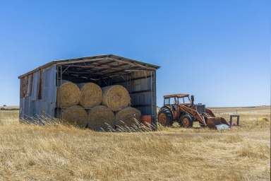 Farm For Sale - WA - Dandaragan - 6507 - "WALURING"  (Image 2)