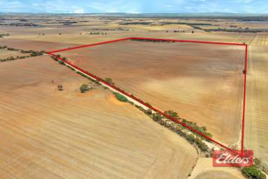 Farm For Sale - SA - Reeves Plains - 5502 - TERRIFIC 100 ACRES  (Image 2)