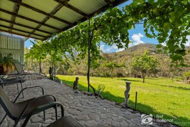 Farm For Sale - NSW - Mudgee - 2850 - EXPLORE AND ENJOY  (Image 2)