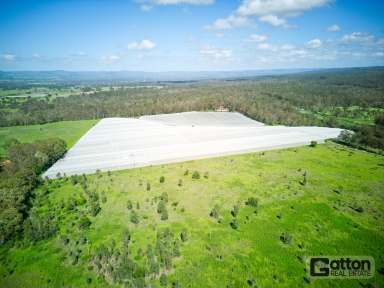 Farm For Sale - QLD - Grantham - 4347 - TURNKEY AGRIBUSINESS WITH ADVANCED INFRASTRUCTURE & EQUIPMENT  (Image 2)