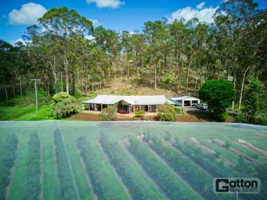 Farm For Sale - QLD - Grantham - 4347 - TURNKEY AGRIBUSINESS WITH ADVANCED INFRASTRUCTURE & EQUIPMENT  (Image 2)