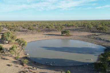 Farm For Sale - NSW - Bourke - 2840 - Fertile open grazing country  (Image 2)