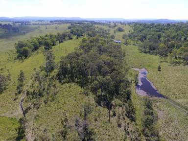 Farm For Sale - NSW - Stratheden - 2470 - GREAT LOCATION, FERTILE PROPERTY  (Image 2)