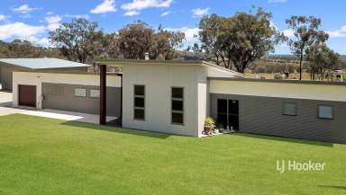 Farm For Sale - NSW - Inverell - 2360 - 'Tanamera' 47 Talbragar Close Inverell 2360  (Image 2)