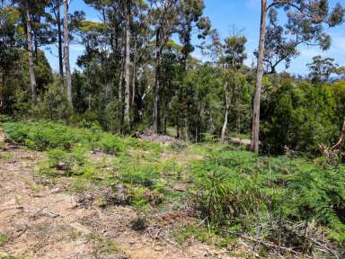 Farm For Sale - TAS - Wesley Vale - 7307 - Elevated Private Block with Cleared House Site  (Image 2)