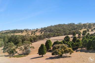 Farm For Sale - VIC - Goldie - 3435 - Endless Possibilities in One of Victoria's Most Sought-After Regions - Macedon Ranges  (Image 2)