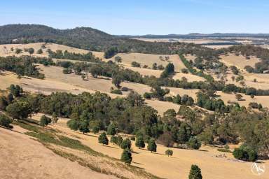 Farm For Sale - VIC - Goldie - 3435 - Endless Possibilities in One of Victoria's Most Sought-After Regions - Macedon Ranges  (Image 2)