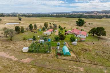 Farm For Sale - NSW - Humula - 2652 - Retirement Beckons - Grazing and Lifestyle Opportunity  (Image 2)