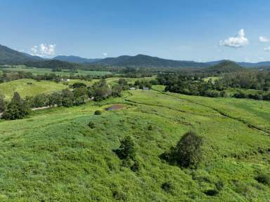 Farm For Sale - QLD - Mount Charlton - 4741 - "Mount Charlton" Farm land & Grazing  (Image 2)