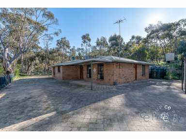 Farm For Sale - SA - Humbug Scrub - 5114 - Semi-secluded lifestyle holding  (Image 2)