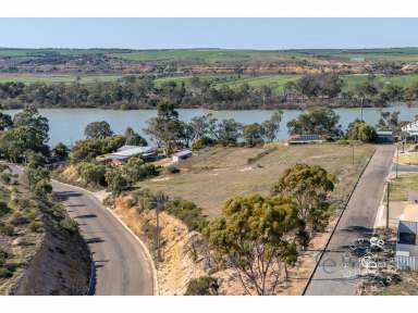 Farm For Sale - SA - Mannum - 5238 - 1 ½ Residential Acres Overlooking The River  (Image 2)