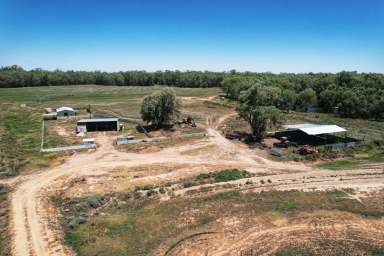 Farm For Sale - NSW - Condobolin - 2877 - Lachlan River Irrigation, Livestock Fattening & Lifestyle - 100ML WATER  (Image 2)