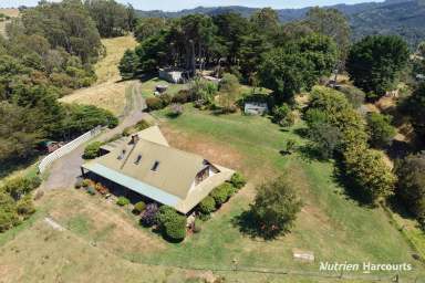 Farm For Sale - VIC - Madalya - 3971 - A Rare Sanctuary of Beauty, Craftsmanship & Tranquility  (Image 2)