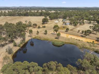 Farm For Sale - VIC - Seymour - 3660 - 45 acres 4 large dams 3 bedroom home  (Image 2)