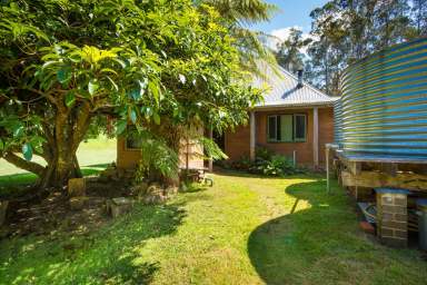 Farm For Sale - NSW - Wyndham - 2550 - Your Unique Forest Retreat  (Image 2)