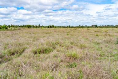 Farm Expressions of Interest - QLD - Banana - 4702 - Quality Brigalow Country Opportunity  (Image 2)