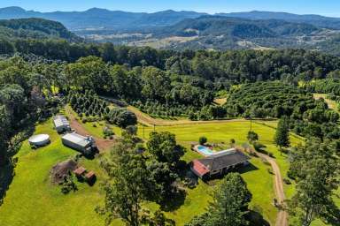 Farm For Sale - NSW - Jiggi - 2480 - To Be Sold on or Before 21st March 2025  (Image 2)