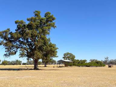 Farm For Sale - VIC - Douglas - 3409 - For Sale By Expressions Of Interest  (Image 2)