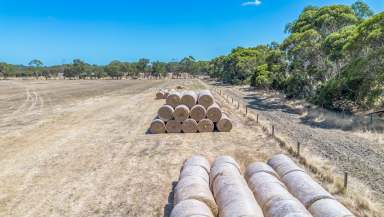 Farm For Sale - WA - Coolup - 6214 - 360 Mayfield Road, Coolup - highly arable grazing property  (Image 2)