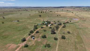 Farm For Sale - NSW - Yeoval - 2868 - Central West Mixed Farming  (Image 2)