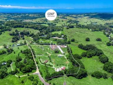 Farm For Sale - NSW - Talofa - 2481 - Huge Price Reduction - Two Homes – 6ha – Creek Frontage  (Image 2)