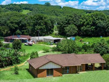 Farm For Sale - NSW - Talofa - 2481 - Two Homes – 6ha – Creek Frontage  (Image 2)