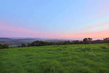 Farm For Sale - NSW - Saddleback Mountain - 2533 - ~ DJAWULA~  (Image 2)