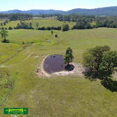 Farm For Sale - NSW - Weismantels - 2415 - WARDS RIVER FARMLET  (Image 2)