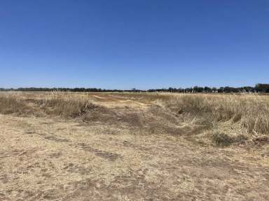 Farm Expressions of Interest - NSW - Whitton - 2705 - Quality Irrigation Land in a Prime Location  (Image 2)