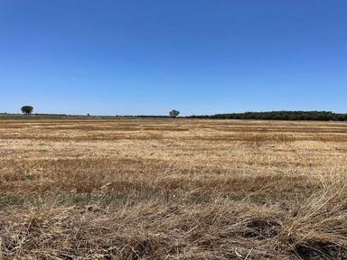 Farm 1761, 846 Whitton to Darlington Point Road, Whitton NSW 2705