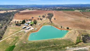 Farm For Sale - NSW - Kingsvale - 2587 - Prestigious Hilltops NSW Vineyard Investment Opportunity  (Image 2)