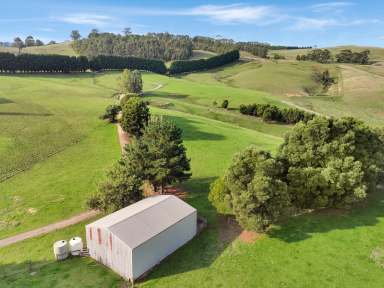 Farm For Sale - VIC - Mirboo - 3871 - Water Reigns!  (Image 2)