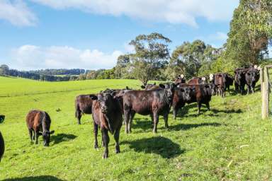 Farm For Sale - VIC - Mirboo - 3871 - Water Reigns!  (Image 2)