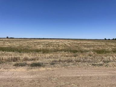 Farm 1764, 1390 Whitton to Darlington Point Road, Whitton NSW 2705