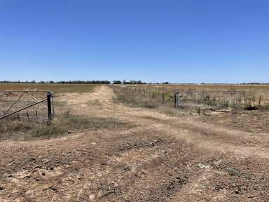 Farm Expressions of Interest - NSW - Whitton - 2705 - Quality Irrigation Land in a prime location  (Image 2)