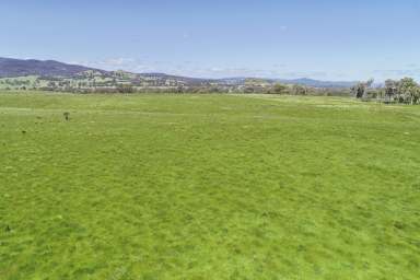 Farm For Sale - VIC - Maindample - 3723 - 100 ACRES WITH POSTCARD VIEWS IN EVERY DIRECTION  (Image 2)