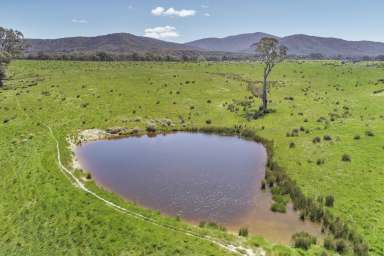 Farm For Sale - VIC - Maindample - 3723 - 100 ACRES WITH POSTCARD VIEWS IN EVERY DIRECTION  (Image 2)