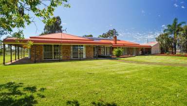 Farm For Sale - NSW - Gilgandra - 2827 - Spacious Rural Lifestyle  (Image 2)